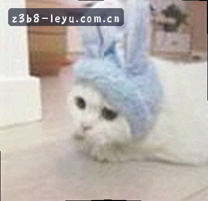 马先生